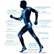 orthopedic therapy
